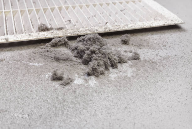 Best Ventilation Cleaning Services  in Mono Vista, CA