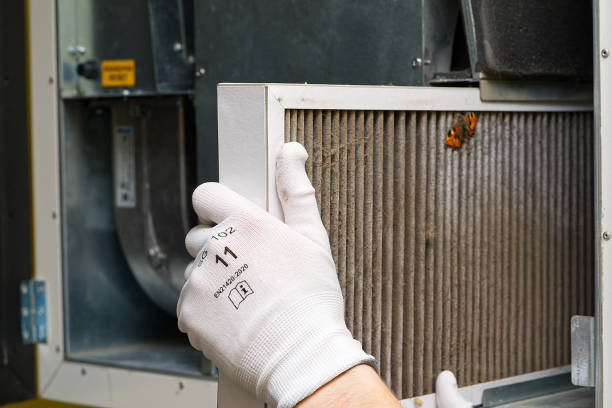 Best HVAC Duct Inspection Services  in Mono Vista, CA